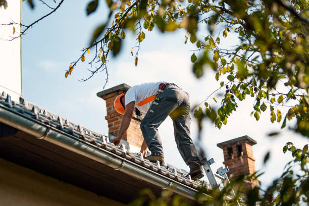 Best Roof Replacement Cost  in Parkwood, WA