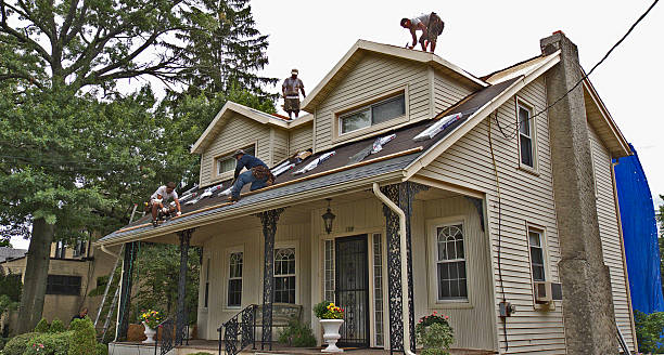 Best Shingle Roofing Installation  in Parkwood, WA