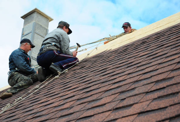 Best Emergency Roof Repair  in Parkwood, WA